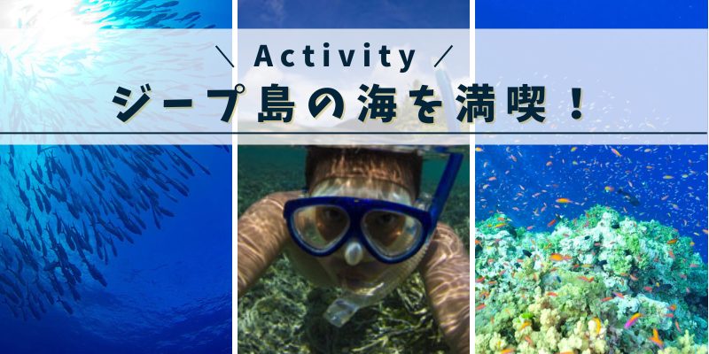 ジープ島（JEEP島）Activity